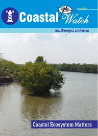 Coastal Watch December 2019