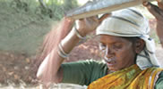 Rainfed farming