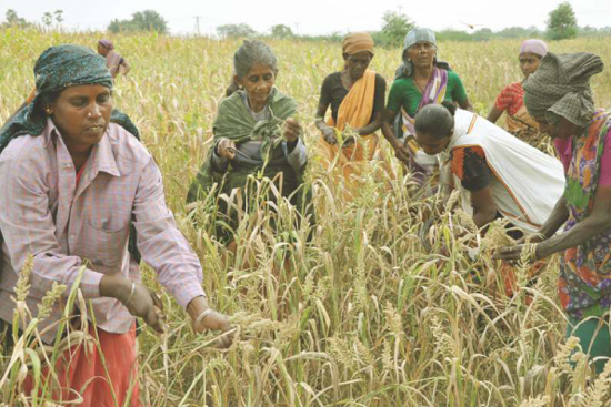 25 years of Vayalagam Programme in Poverty Reduction through Water Resources and Agricultural Development