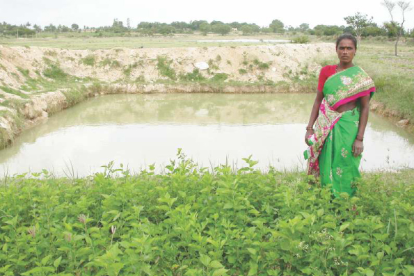 25 years of Vayalagam Programme in Poverty Reduction through Water Resources and Agricultural Development