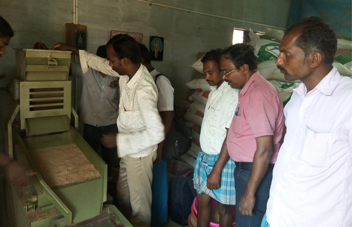 small millet dhan project image