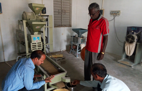 small millet dhan project image