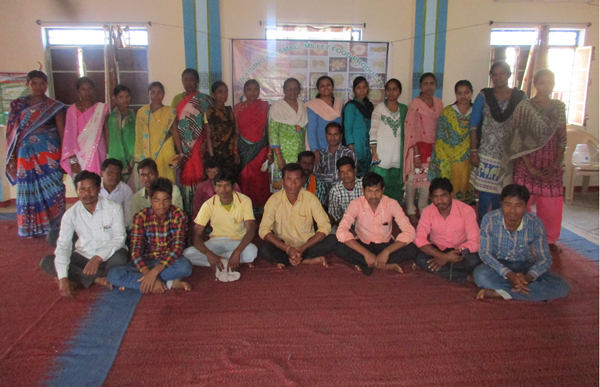small millet dhan project image