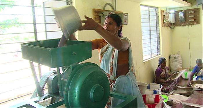 small millet policy image