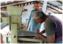 small millet processing