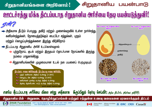 small millet poster12