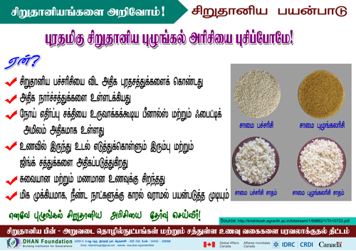 small millet poster13