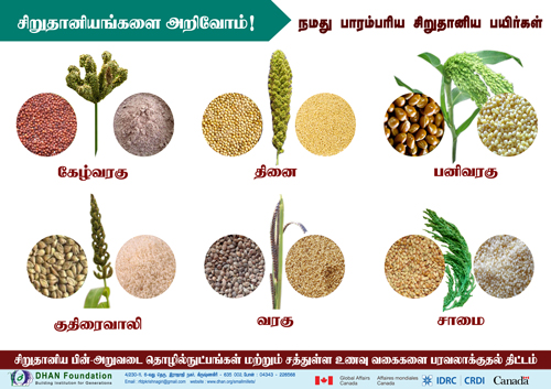 small millet poster3