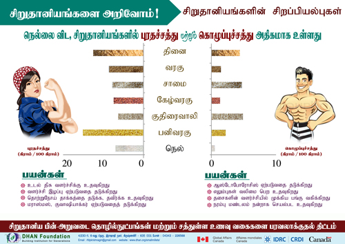 small millet poster4