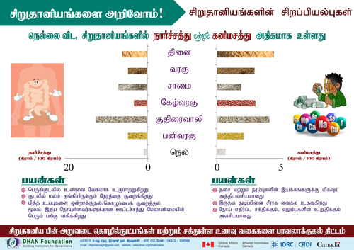 small millet poster5