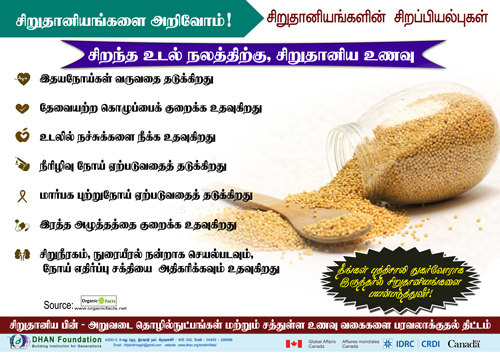 small millet poster8