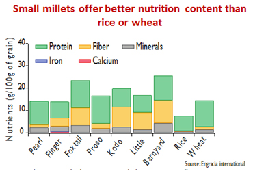 small millet project image